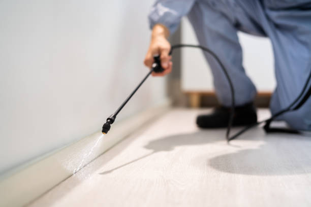 Licensed Pest Control service in Springfield, MA - Show Me Pest Control